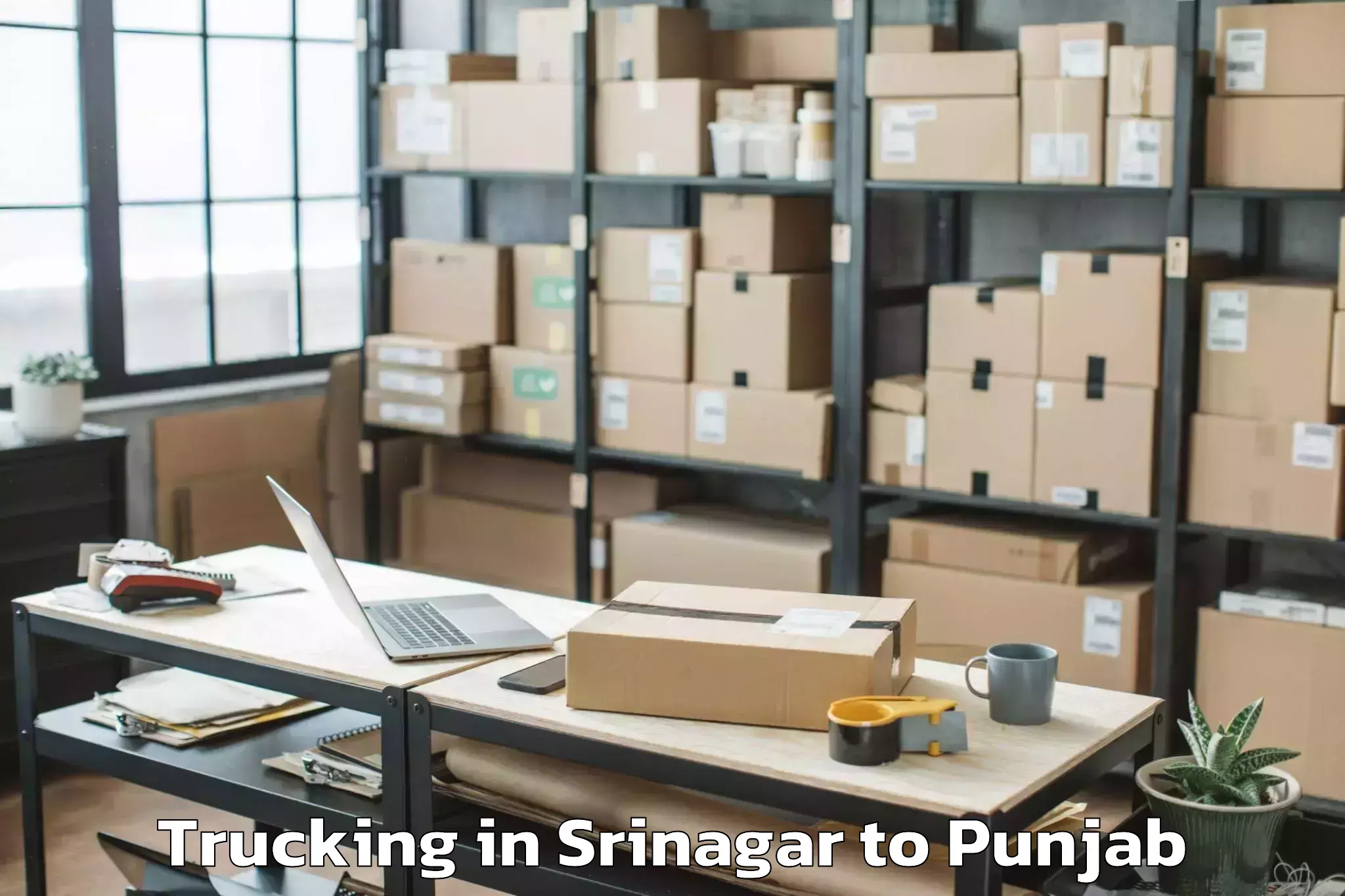 Book Srinagar to Sangrur Trucking